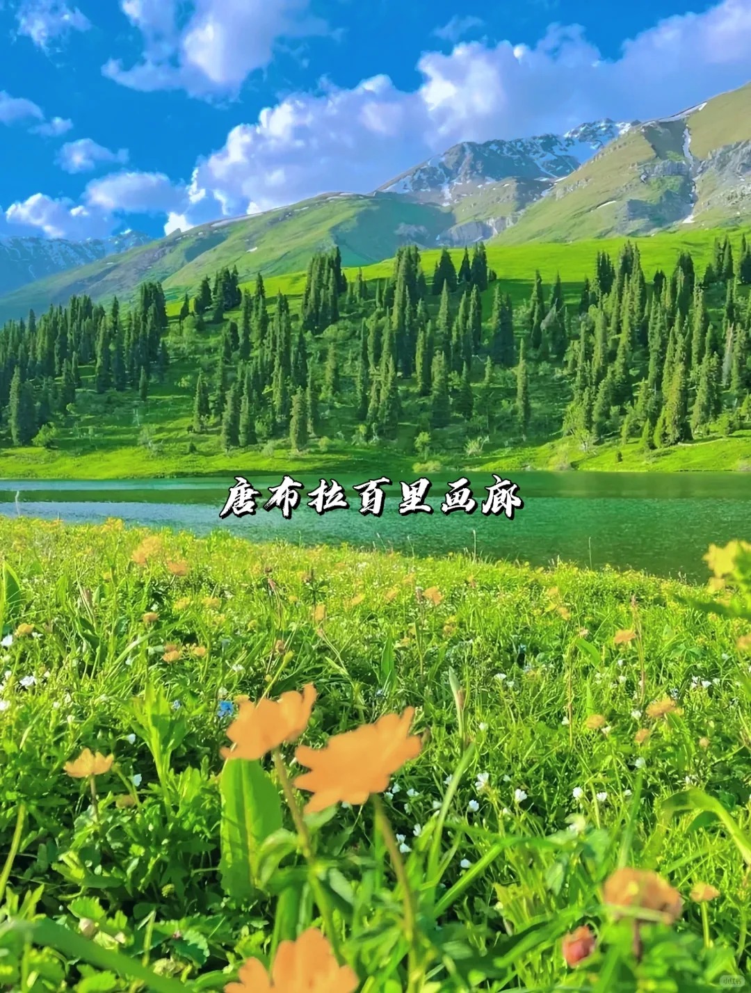 一次性讲清楚｜新疆伊犁八大草原怎么选？_7_风驰旅行_来自tour520旅游攻略